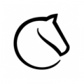 R�sultats du 1er Tournoi de Blitz sur LICHESS: Bravo Alex!